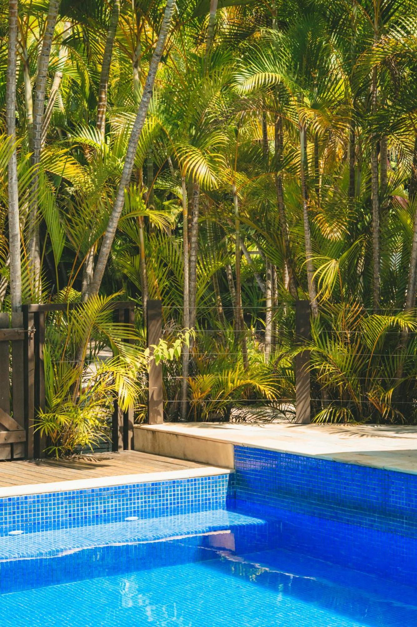 Pousada Vila Tamarindo Eco Lodge Флорианополис Экстерьер фото